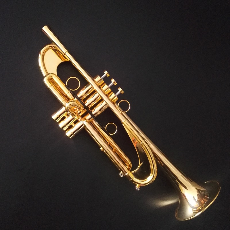 Reverse leadpipe hea